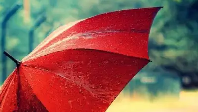 Zakon.kz, фото - Новости Zakon.kz от 24.06.2017 12:00