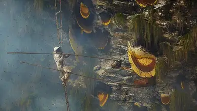 bigpicture.ru, фото - Новости Zakon.kz от 07.03.2019 14:33