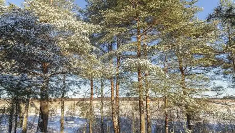 В выходные ожидается потепление в Казахстане