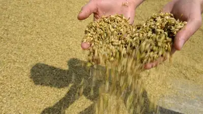 Zakon.kz, фото - Новости Zakon.kz от 11.12.2015 22:46