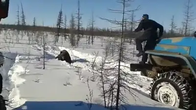 Zakon.kz, фото - Новости Zakon.kz от 29.12.2016 13:22