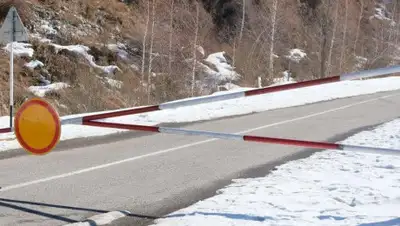 Иле-Алатау, фото - Новости Zakon.kz от 06.03.2020 15:19