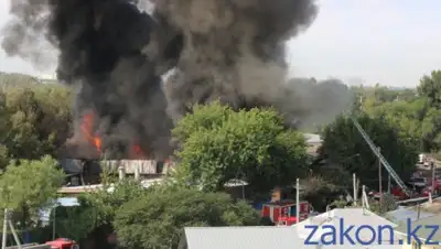 zakon.kz, фото - Новости Zakon.kz от 18.07.2019 11:16