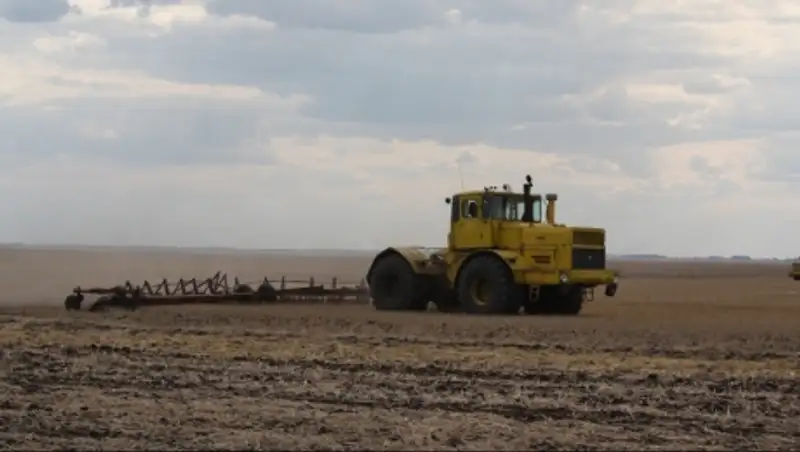 В СКО зерновые культуры планируется засеять на площади 3,3 млн га 