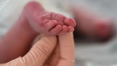 sputnik.kg, фото - Новости Zakon.kz от 30.06.2020 16:07