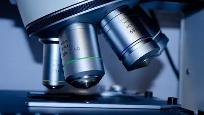 исследование, фото - Новости Zakon.kz от 12.11.2023 01:58