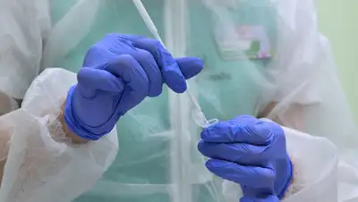 nk-tv.com, фото - Новости Zakon.kz от 04.04.2020 08:02