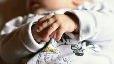 Pixabay, фото - Новости Zakon.kz от 14.11.2019 20:35