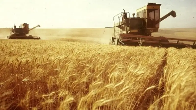 Казахстан планирует собрать свыше 19 млн тонн зерна в 2016 году