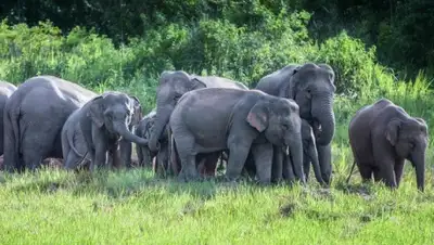 Zakon.kz, фото - Новости Zakon.kz от 02.02.2016 17:42