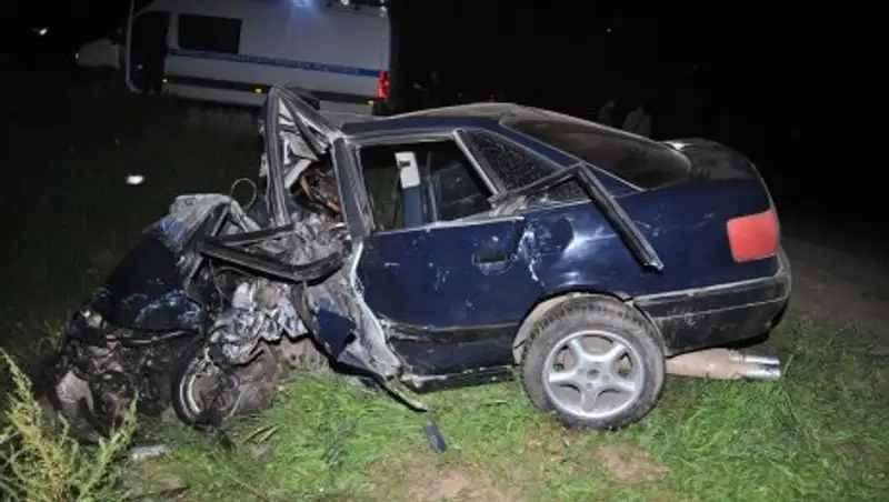 В Павлодарской области 6 человек, в том числе два годовалых ребенка, погибли в ДТП