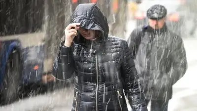 baribar.kz, фото - Новости Zakon.kz от 28.03.2018 16:38