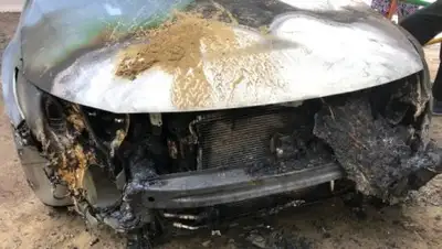 alau.kz, фото - Новости Zakon.kz от 02.08.2018 23:13