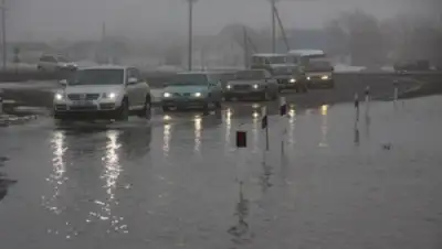 Zakon.kz, фото - Новости Zakon.kz от 04.05.2015 16:51