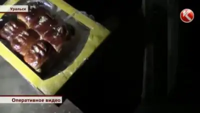 Zakon.kz, фото - Новости Zakon.kz от 18.02.2017 05:01