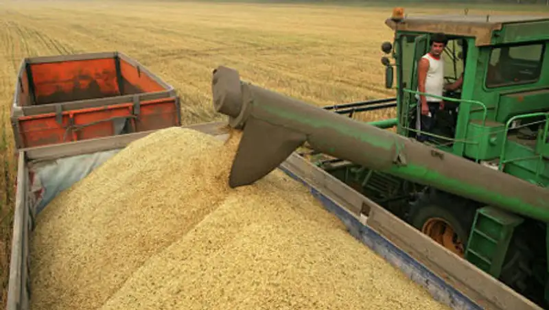 Китай планирует закупить у Казахстана 100 тыс. тонн пшеницы      