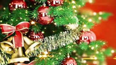 Zakon.kz, фото - Новости Zakon.kz от 02.12.2014 16:28