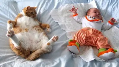 Zakon.kz, фото - Новости Zakon.kz от 03.04.2015 18:37