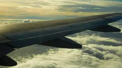 pixabay.com, фото - Новости Zakon.kz от 15.08.2020 11:19