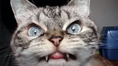 Zakon.kz, фото - Новости Zakon.kz от 19.08.2015 23:01