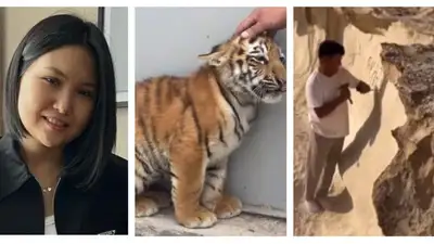 Главное к утру: лучшая казахстанская шахматистка, карагандинские тигрята и культурное осквернение , фото - Новости Zakon.kz от 27.08.2023 07:50