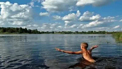 Zakon.kz, фото - Новости Zakon.kz от 18.05.2017 19:37