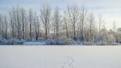 зима, фото - Новости Zakon.kz от 05.02.2022 17:44