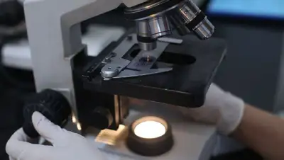 лаборатория, биоугрозы, Казахстан , фото - Новости Zakon.kz от 23.05.2022 11:01