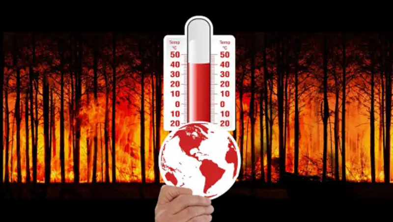 Ученый призвал не связывать природные пожары с глобальным потеплением