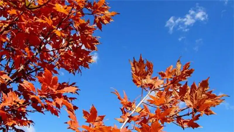 На большей части Казахстана сохраняется погода без осадков