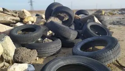 lada.kz, фото - Новости Zakon.kz от 29.11.2020 15:51