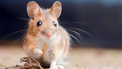 Zakon.kz, фото - Новости Zakon.kz от 15.06.2016 17:58