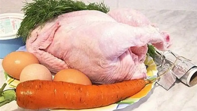 Детей в лагере «Мерей» в Костанайской области кормили курятиной с кишечной палочкой