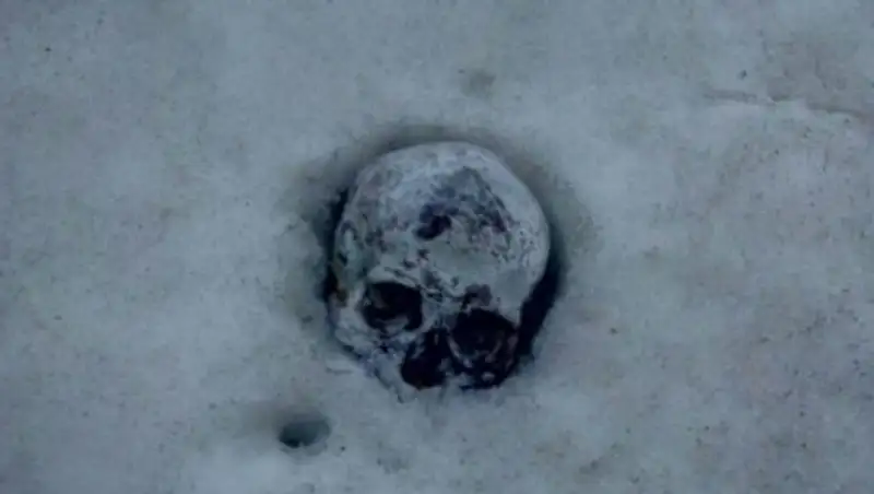 Житель Усть-Каменогорска нашел у мусорных баков череп