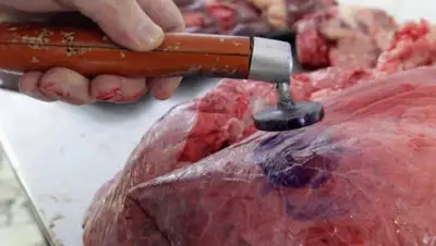 rian.com.ua, фото - Новости Zakon.kz от 03.04.2019 12:20