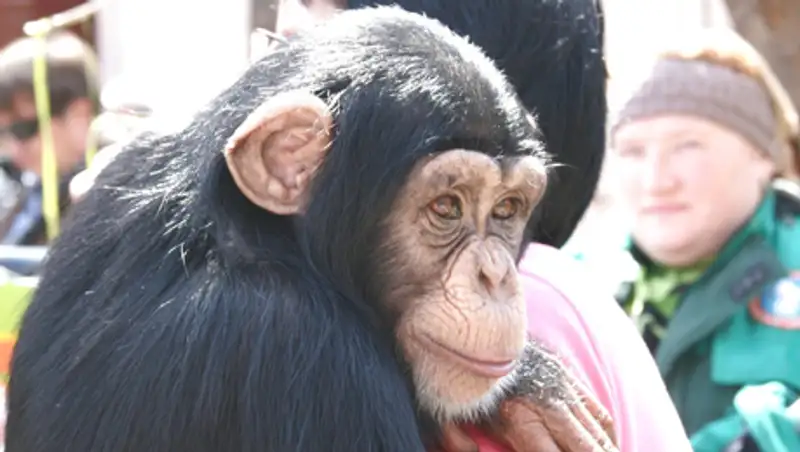 Алматинский зоопарк предлагает горожанам стать опекунами животных