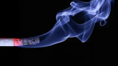 Pixabay, фото - Новости Zakon.kz от 03.06.2020 00:22