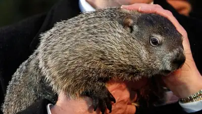 Zakon.kz, фото - Новости Zakon.kz от 03.02.2015 15:54