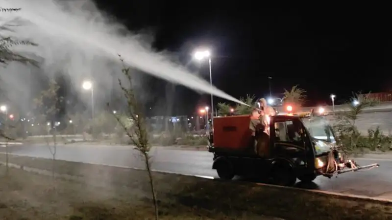 В Алматы c 14 апреля начнут обрабатывать деревья от вредителей