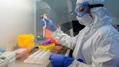 24tv.ua, фото - Новости Zakon.kz от 26.05.2020 16:09