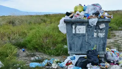 pixabay.com, фото - Новости Zakon.kz от 16.05.2019 20:12