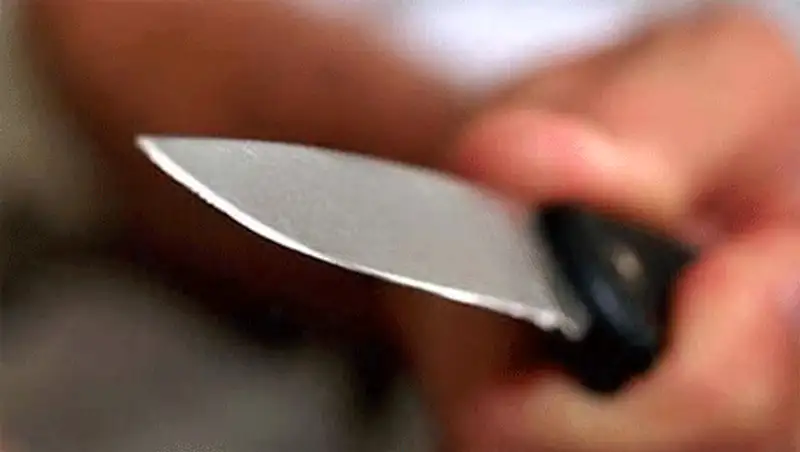 В СКО женщина защищая сына, зарезала пьяного мужа, фото - Новости Zakon.kz от 10.12.2013 00:08