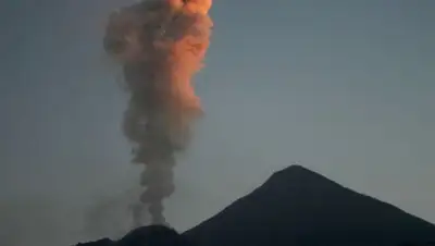 Zakon.kz, фото - Новости Zakon.kz от 06.02.2016 07:48