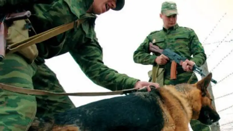 На границе Казахстана с Челябинской областью задержан КамАЗ марихуаны