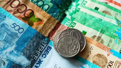 рк, пособия, инвалидность, потеря кормильца, размер, минтруда, фото - Новости Zakon.kz от 20.04.2022 10:34