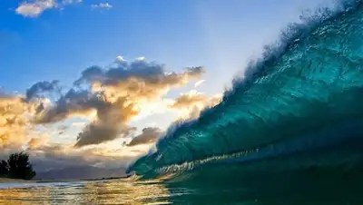 Zakon.kz, фото - Новости Zakon.kz от 27.01.2016 14:25