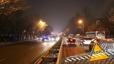 zakon.kz, фото - Новости Zakon.kz от 11.02.2020 22:26