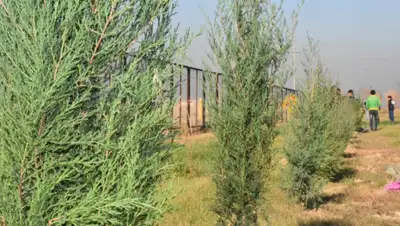 РСК Туркестанской​ области, фото - Новости Zakon.kz от 09.11.2019 18:47