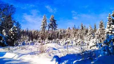 В Алматинской области ожидается сильный мороз 26 января, фото - Новости Zakon.kz от 25.01.2023 14:58