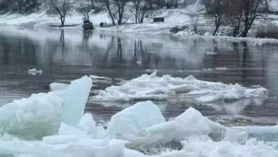 24.kz, фото - Новости Zakon.kz от 16.01.2019 18:49